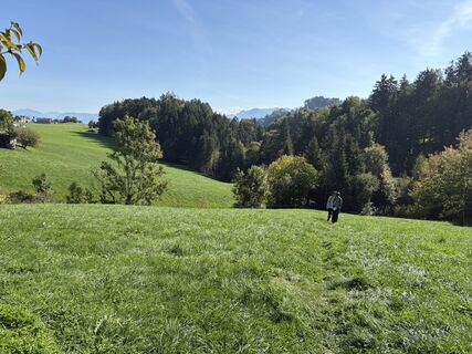 Fotografija s spletne strani Takashi Araki na poti