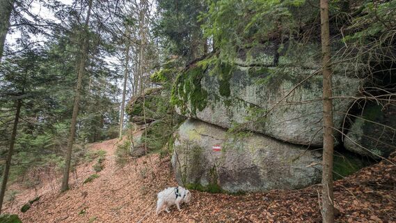 Fotografia z Klaus Lehner na trase