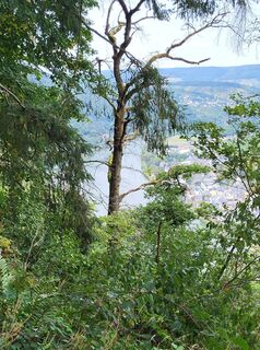 Foto da yolanda beck lungo il tour