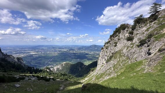 Foto von Mountain Cat ? ⛰️ entlang der Tour