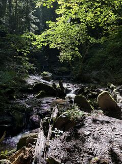 Fotografija s spletne strani Reinhard Frewein na poti