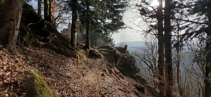 Foto von Bernard Piat entlang der Tour