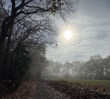 Фото с сайта DerNagsor во время экскурсии