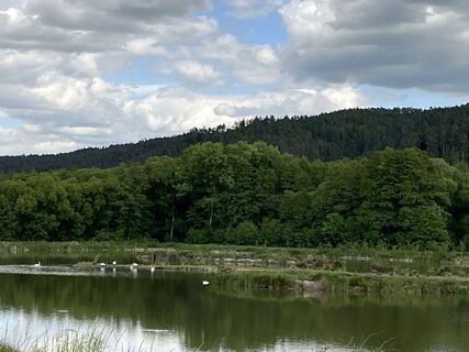 Fotografija s spletne strani Tine Harth na poti