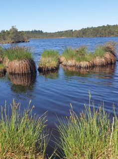 Zdjęcie z Ingeborg Maislinger wzdłuż trasy