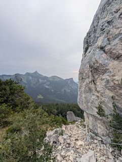 Photo de Stubi le long du parcours