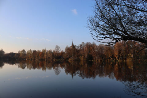Blick über den Borner See auf Born