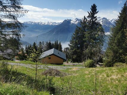 Foto von Waldläufer entlang der Tour