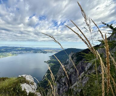 Foto von Dani Geiger / Natur_erleben_dg entlang der Tour