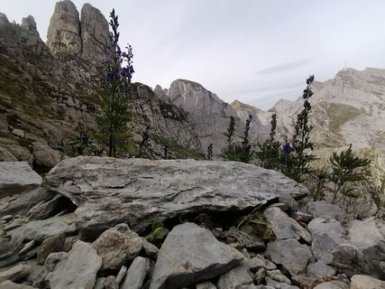 Fotografie z Turbinio na trase