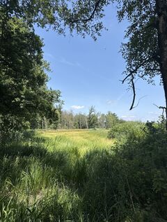 Foto von Babita entlang der Tour