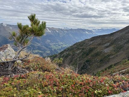Fotó a Hermann Czerweny honlapról a túra során