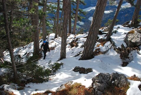 Mittagstein – Knofeleben – Wasserleitungsweg