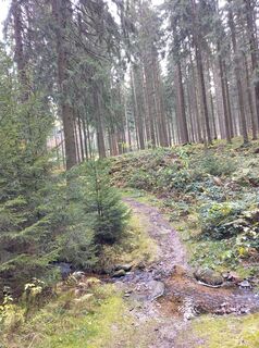 Photo de Januar Y le long du parcours