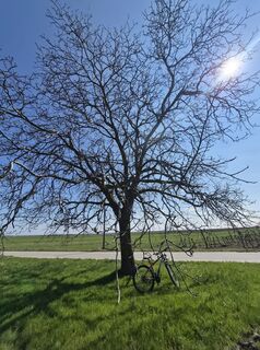 Foto von Markus Hummelbrunner entlang der Tour