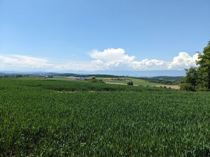 Photo de G. Jaquet le long du parcours