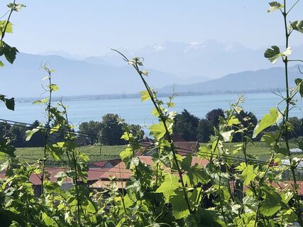 Foto von Enrico Schneider entlang der Tour