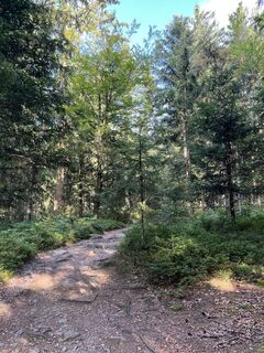 Photo de Daniel Groß le long du parcours