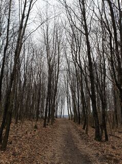 Zdjęcie z Georg B. Meier wzdłuż trasy