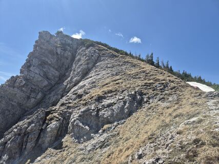 Foto de Tatiana kováčiková a lo largo del recorrido