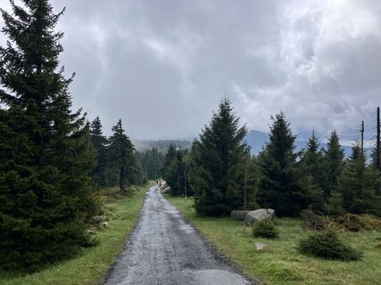 Foto de Dierk Fiekas a lo largo del recorrido