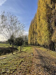Foto von Sandra Pissens entlang der Tour
