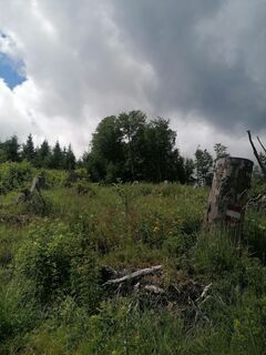 Fotografie z Sonce.S na trase