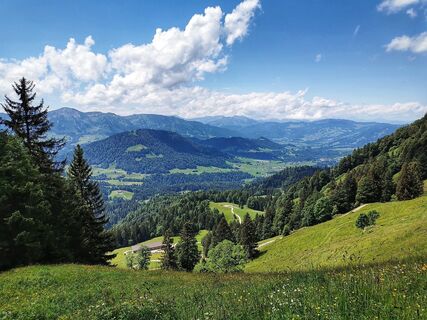 Blick in den Bregenzerwald
