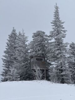 Foto från Viktor Koller under resans gång