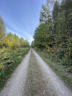 Fotografija s spletne strani Gerald na poti