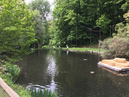 Foto von Lomalinda entlang der Tour