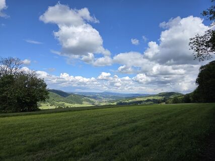 Foto von Jwemmenhove entlang der Tour