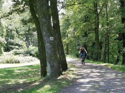 Mountainbiken in Ronchamp