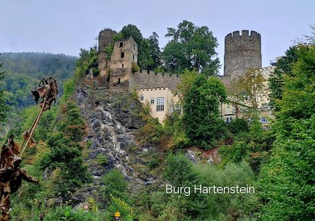 Zdjęcie z zirberl wzdłuż trasy