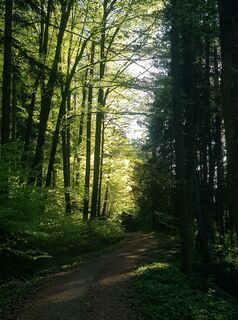 Fotografie z Simon Brummer na trase
