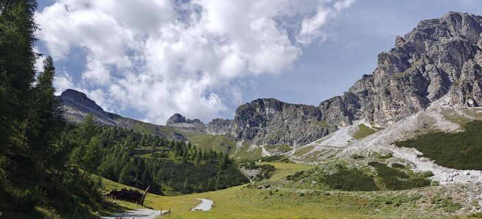 Fotografia z Ann VR na trase
