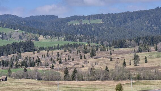 Foto von Thomi W entlang der Tour