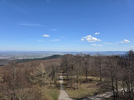 Fotografie z Axel Holtz na trase