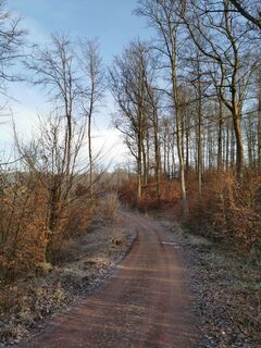 Foto von Marco Schütz entlang der Tour