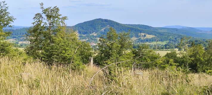 Foto da Jan 2505 lungo il tour