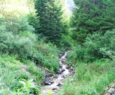 Torrente Assat