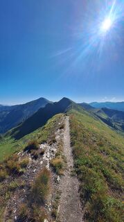 Fotografija s spletne strani Regina Fleischmann na poti