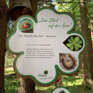 Mein Weg zum Glück