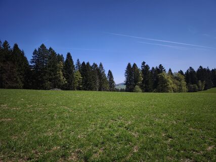 Foto von Juergenkrings entlang der Tour