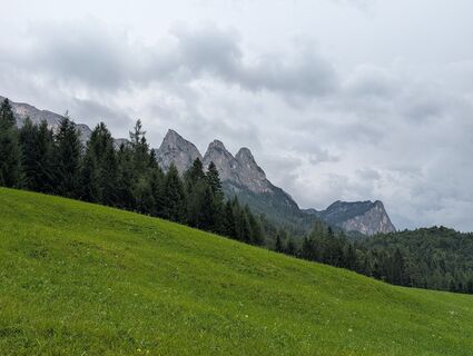 Photo de Lars Vogelbein le long du parcours
