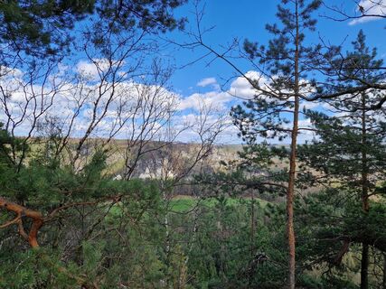 Zdjęcie z RMM wzdłuż trasy