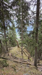 Photo de Moni le long du parcours