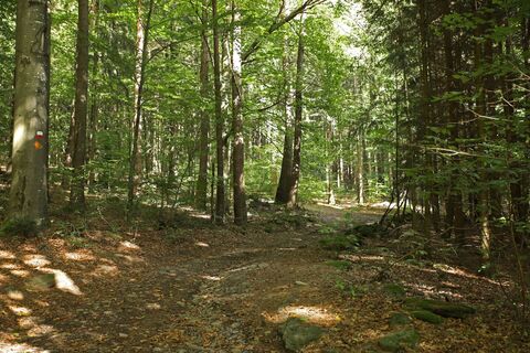 Wanderweg nach Lixenried