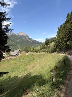 Fotografija s spletne strani Mandy Friedrich na poti