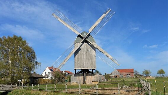 Bockwindmühle Dettum